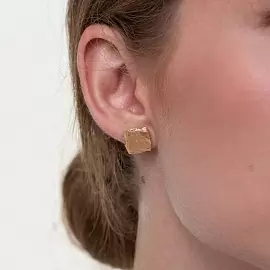 Серьги пусеты SOR1980-10.YL серебро_1