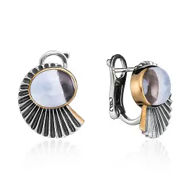 Серьги ER021550AGT-COV-S серебро_0