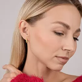 Серьги WE6049-C-G-W серебро_3