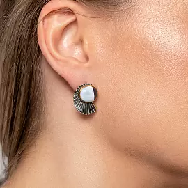 Серьги ER021550AGT-COV-S серебро_1