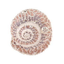 Подвеска 16-053TR эм.кор серебро Ракушка